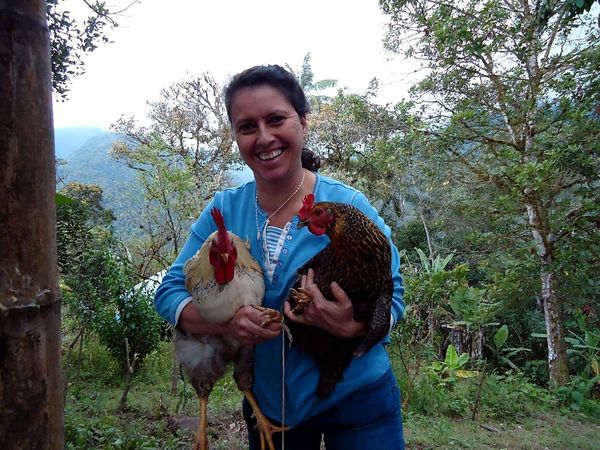 Ministerio en el campo